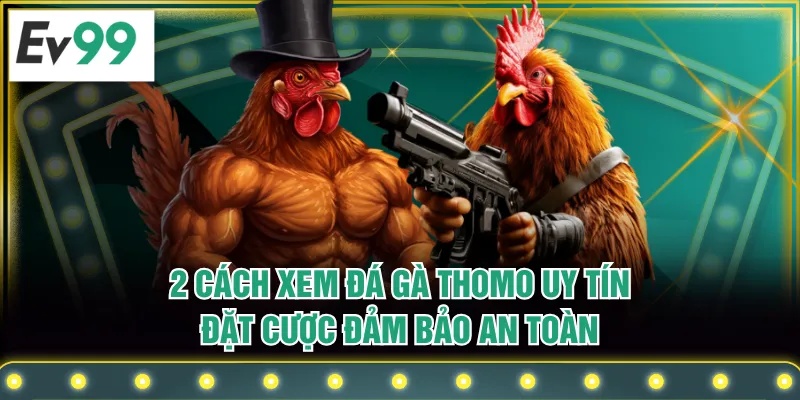 2 Cách Xem Đá Gà Thomo Uy Tín, Đặt Cược Đảm Bảo An Toàn 2 Cách Xem Đá Gà Thomo Uy Tín, Đặt Cược Đảm Bảo An Toàn